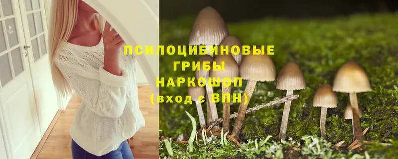 Галлюциногенные грибы Magic Shrooms  Тобольск 